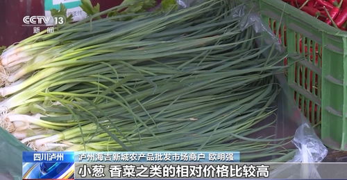 高溫炙烤下的民生守護(hù) 四川多地延期開學(xué)，全力保障農(nóng)產(chǎn)品供應(yīng)