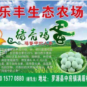 深耕源頭，鏈接餐桌 走進(jìn)農(nóng)產(chǎn)品批發(fā)供應(yīng)商謝依燦的惠農(nóng)網(wǎng)之路