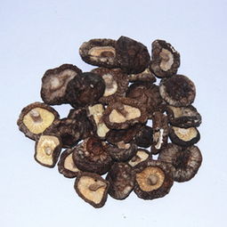 廠家直銷，正宗慶元小香菇 食用菌干貨批發(fā)新選擇